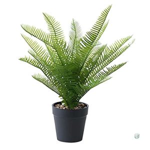 Plante verte synthétique Dryopteris pour ambiance naturelle