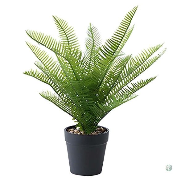 Plante verte synthétique Dryopteris pour ambiance naturelle