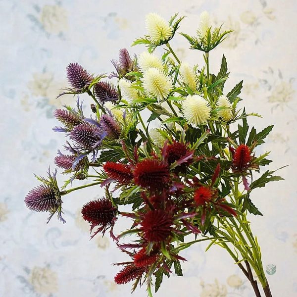 Eryngium Planum - plante décorative pour vos espaces extérieurs