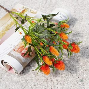 Eryngium Planum - fleur résistante et esthétique