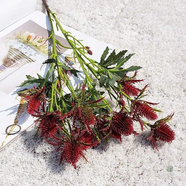 Eryngium - plante vivace aux couleurs vibrantes