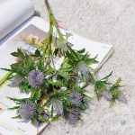 Eryngium Planum - choix parfait pour les jardins contemporains