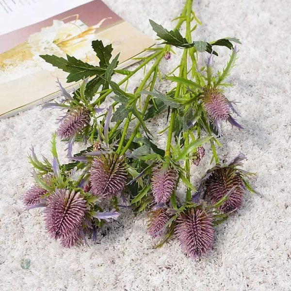 Eryngium - plante rustique et attrayante pour tous les jardins