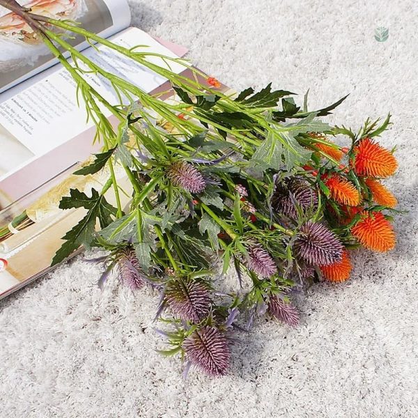 Fleur Eryngium Planum, ajout unique pour votre espace vert