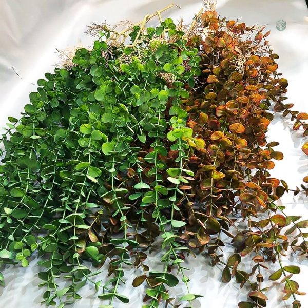 Eucalyptus artificiel durable et esthétique