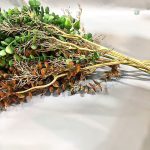Eucalyptus artificiel pour bouquets et arrangements