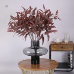 Feuillage d'eucalyptus globulus pour un effet naturel