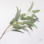 Plante d'eucalyptus artificiel, idéale pour embellir un espace