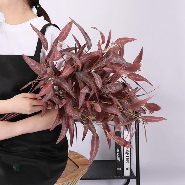 Branche d'eucalyptus globulus, touche de verdure décorative