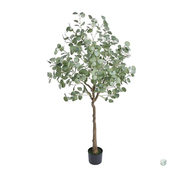 Eucalyptus Gunnii Artificiel en décoration intérieure