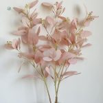 Eucalyptus rose pour décoration florale