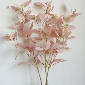 Eucalyptus rose pour décoration florale