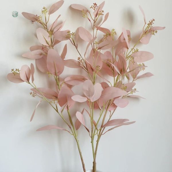 Eucalyptus rose pour décoration florale