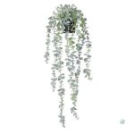 Feuilles d'eucalyptus tombantes, ajout de verdure moderne