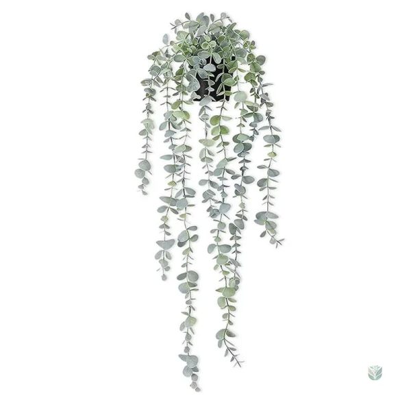 Feuilles d'eucalyptus tombantes, ajout de verdure moderne