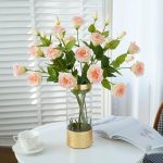 Eustoma Lisianthus en promotion pour le Cyber Monday