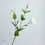 Lisianthus coloré, idéal pour vos décorations de fête