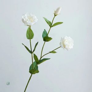 Lisianthus coloré, idéal pour vos décorations de fête