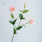 Variété de Lisianthus, élégance à prix réduit