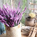 Fausse lavande en pot, parfaite pour embellir votre espace