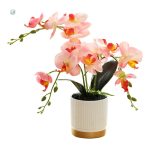 Fausse orchidée colorée idéale pour embellir un espace