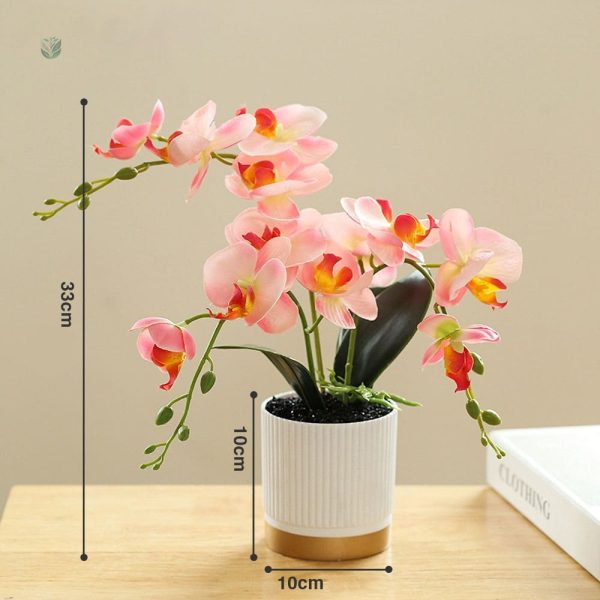 Fausse orchidée en fleurs pour une touche de fraîcheur