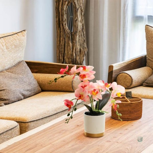 Orchidée décorative sans entretien pour la maison