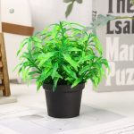 Plante d'ornement sans entretien nécessaire