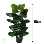 Plante d'intérieur moderne pour décoration intérieure