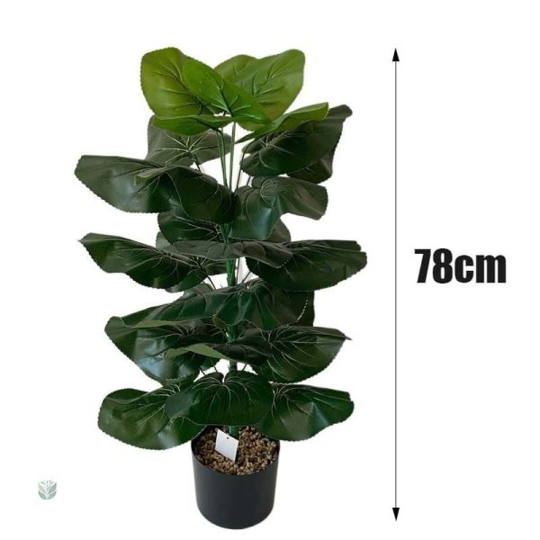 Plante d'intérieur moderne pour décoration intérieure