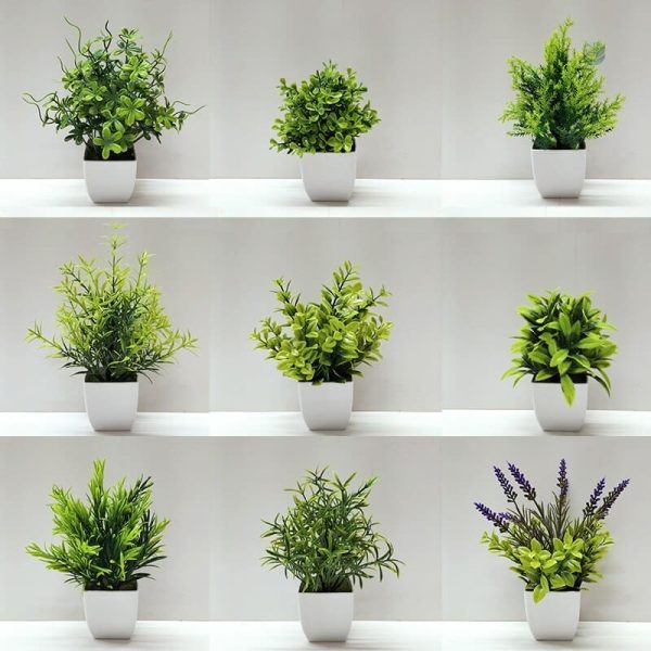 Fausse Plante Pas Cher