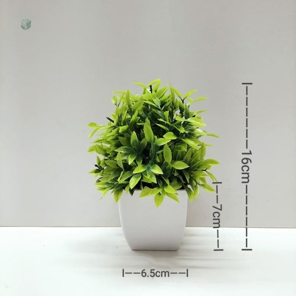 Fausse Plante Souple et Abordable