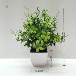 Plante Pas Cher pour Maison et Bureau