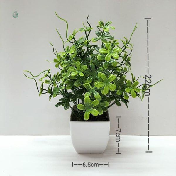 Plante Pas Cher pour Maison et Bureau