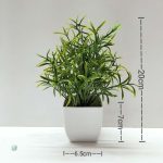 Plante Décorative Écologique et Pas Chère