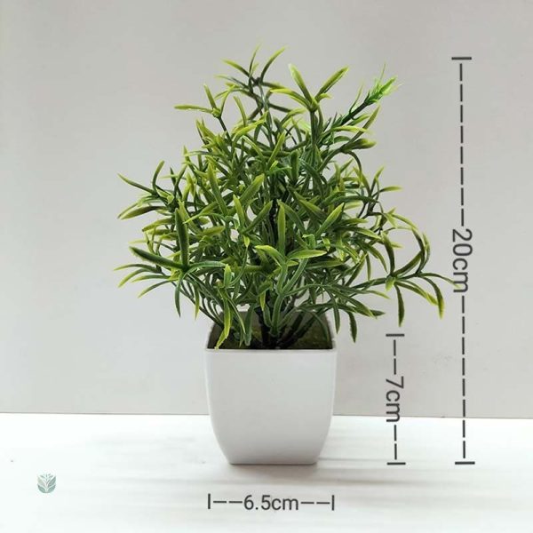 Plante Décorative Écologique et Pas Chère