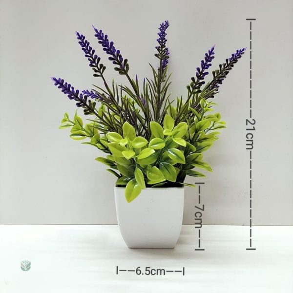 Fausse Plante Pas Cher - vue 4