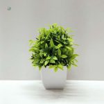Plante Verte Décorative à Petit Prix