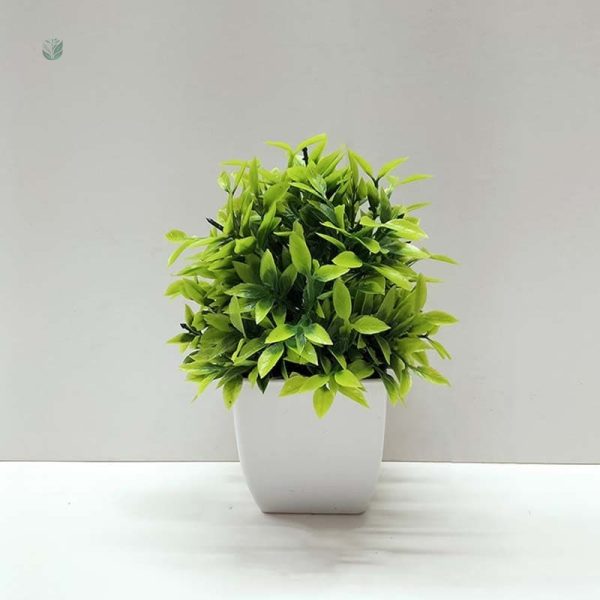 Plante Verte Décorative à Petit Prix