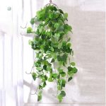 Plante artificielle tombante au feuillage dense et vert