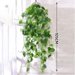 Plante décorative tombante, entretien facile et esthétique