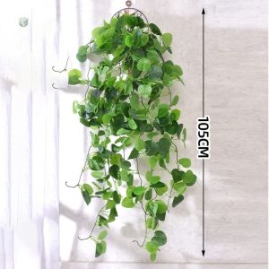 Plante décorative tombante, entretien facile et esthétique
