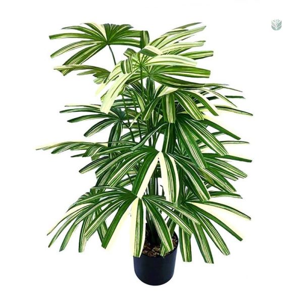 Fausse plante verte d'intérieur décorative et réaliste