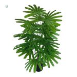 Plante artificielle verte pour embellir votre espace intérieur