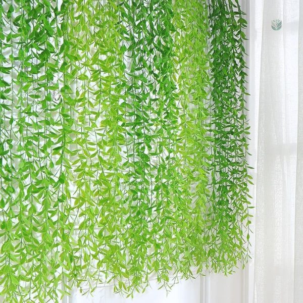 Plante tombante décorative pour bureau