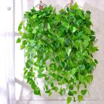 Végétation artificielle pour une décoration zen