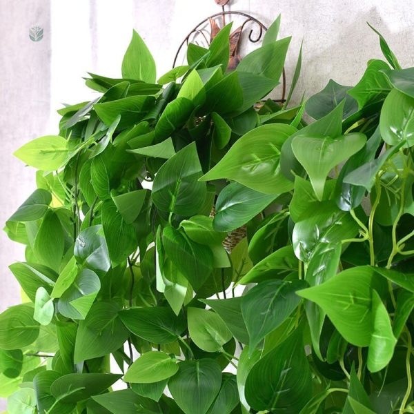 Fausses plantes tombantes pour un coin de verdure