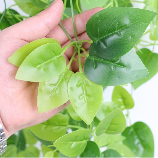 Plantes décoratives retombantes sans entretien nécessaire