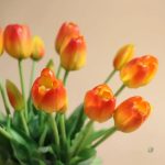 Bouquet de Tulipes artificielles colorées