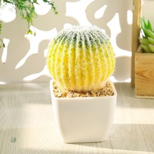 Petite plante artificielle en forme de cactus